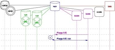 Transaction Flow -- Purge