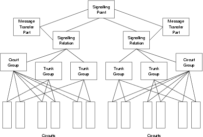 NNI Data Model